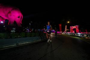 BIB: 
                            <button type="button" onclick="openModal(26552616)" class="btn btn-primary btn-sm float-right btn-popup" data-toggle="modal" data-target=".modal-high-quality">
                        <i class="fas fa-shopping-cart"></i> Add to Cart
                    </button>
                                            <button type="button" onclick="isThisMe(26552616, true)" class="btn btn-success btn-sm float-right btn-popup btn-isme hidden" data-toggle="tooltip" data-placement="bottom" title="นี่คือรูปของคุณใช่ไหม คลิกที่นี่เพื่อเอาเข้าอัลบั้ม">
                        <i class="fas fa-plus"></i> Add to album
                    </button>
                    <button type="button" onclick="isThisMe(26552616, false)" class="btn btn-warning btn-sm float-right btn-popup btn-isnotme hidden">
                        <i class="fas fa-ban"></i> Remove from album
                    </button>